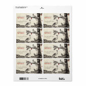 Romeo & Julia - Peacock-Version (Vorne)