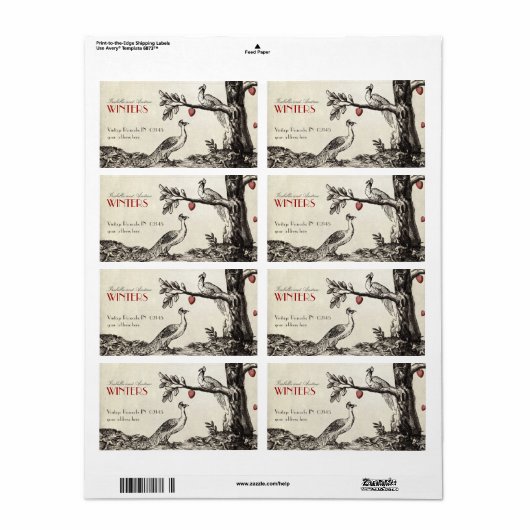 Romeo & Julia - Peacock-Version (Vorne)