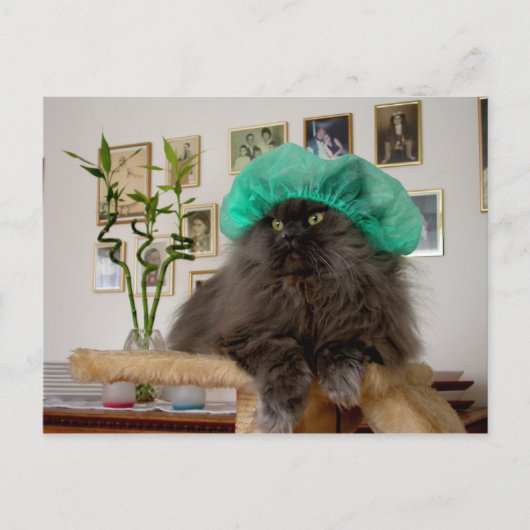 Romeo Postkarte (Vorderseite)