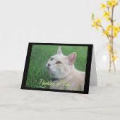 Romeo The Cat Thinking Your Greeting Card Karte (Gelbe Blume)
