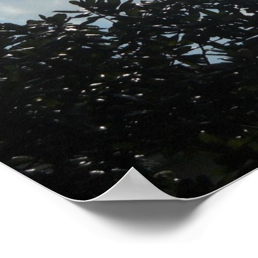 "Römer 11:36 Für Ihn und durch Ihn... Poster (Ecke)