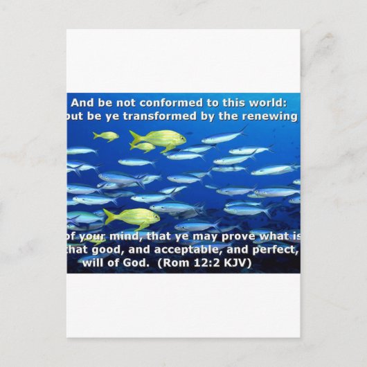 Römer 12:2 postkarte (Vorderseite)