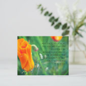 Römer 15:13 Soft Poppy Postkarte (Stehend Vorderseite)