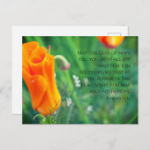 Römer 15:13 Soft Poppy Postkarte (Vorne/Hinten)