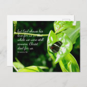 Römer 5:8 Schmetterlingsleder-Postkarte Postkarte (Vorne/Hinten)