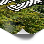 Römer 8:11 WEBU Poster (Ecke)