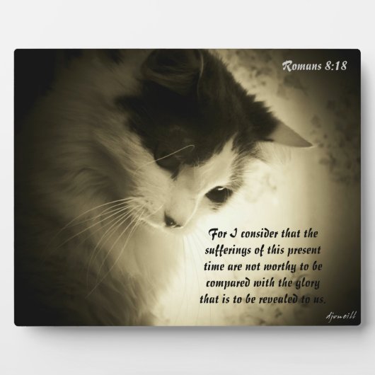 Römer 8:18 fotoplatte (Vorderseite)