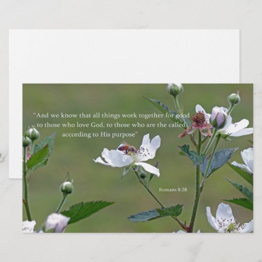 Römer 8:28 briefpapier (Vorne/Hinten)