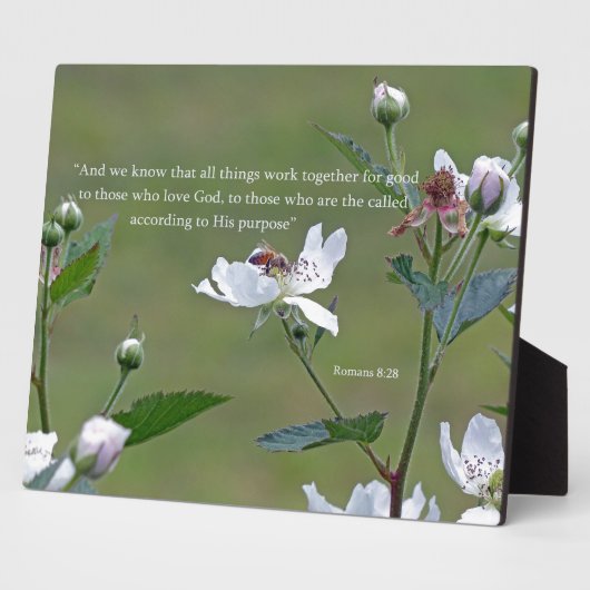 Römer 8:28 fotoplatte (Seite)