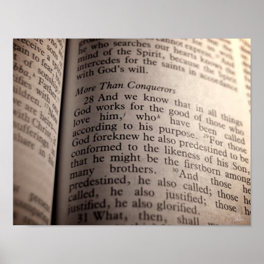Römer 8:28 [Print] Poster (Vorne)