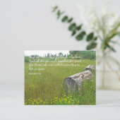 Römer 8:28 Tranquil Scene Postcard Postkarte (Stehend Vorderseite)