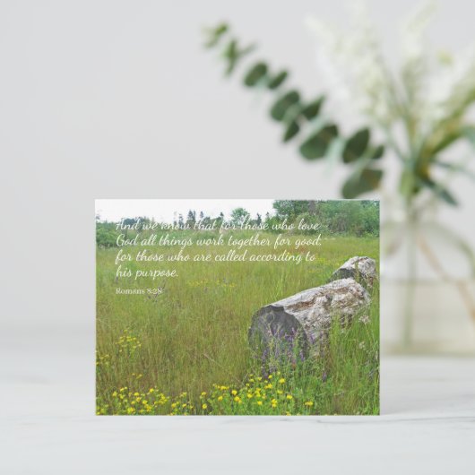 Römer 8:28 Tranquil Scene Postcard Postkarte (Stehend Vorderseite)
