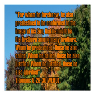 Römer 8:29-30 WEBU Poster