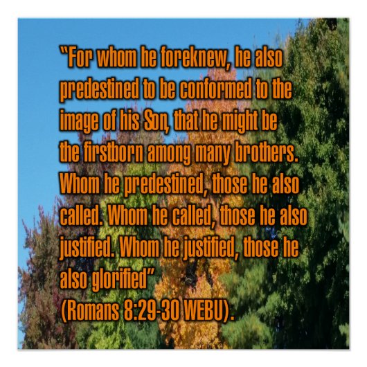 Römer 8:29-30 WEBU Poster (Vorderseite)