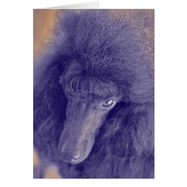 Romeys Karte (Vorne)