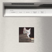 Römische Felsen Magnet (In Situ (Geschirrspüler))