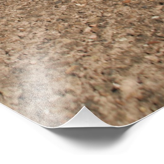 Römische Kunst: Das Kolosseum oder der Flavium Fotodruck (Ecke)