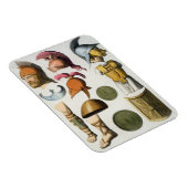 römische Militärausrüstung aus 'Le Costume Ancien Magnet (Rechte Seite)