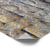 Römische Typografie auf dem Forum, Rom, Italien Poster (Ecke)