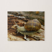 Römischer essbare Schnecke-Helix Pomatia Puzzle (Horizontal)