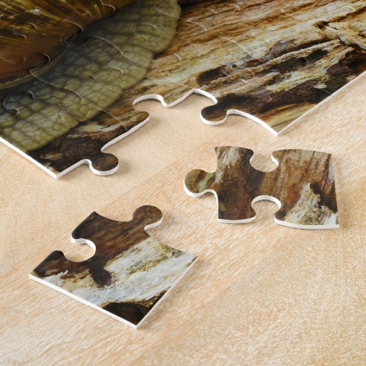 Römischer essbare Schnecke-Helix Pomatia Puzzle (Seite)