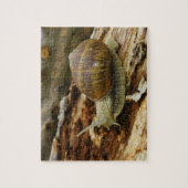 Römischer essbare Schnecke-Helix Pomatia Puzzle (Vertikal)