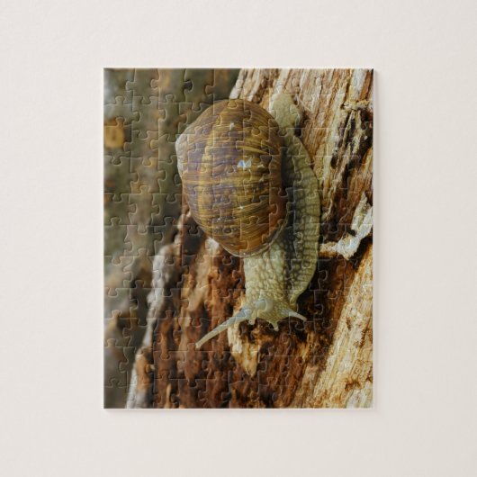 Römischer essbare Schnecke-Helix Pomatia Puzzle (Vertikal)