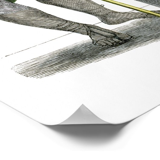 Römischer Kaiser Poster (Ecke)