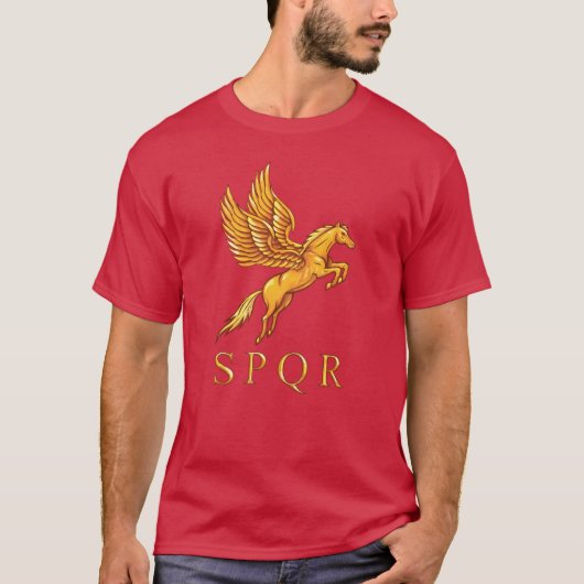 Römischer Pegasus-Grafik-T - Shirt (Vorderseite)