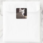 römisches Kätzchen Quadratischer Aufkleber (Tasche)