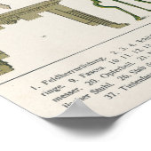 Römisches Zubehör Poster (Ecke)