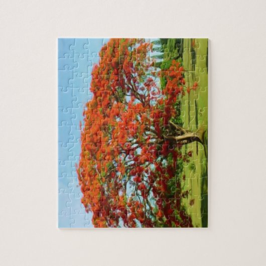 Rompecabeza Flamboyán/Royal Poinciana Puzzle (Vertikal)