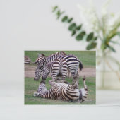 Romping Postkarte (Stehend Vorderseite)