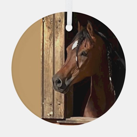 Ron Hevener Ornament Aus Glas (Rückseite)