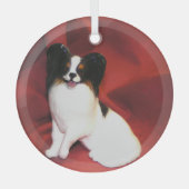 Ron Hevener Ornament Aus Glas (Vorderseite)