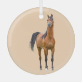 Ron Hevener Ornament Aus Glas (Vorderseite)
