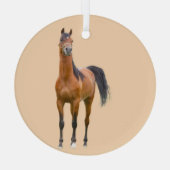 Ron Hevener Ornament Aus Glas (Rückseite)