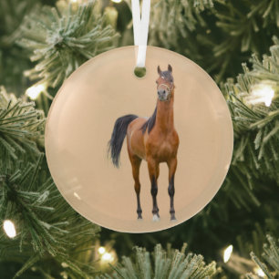 Ron Hevener Ornament Aus Glas