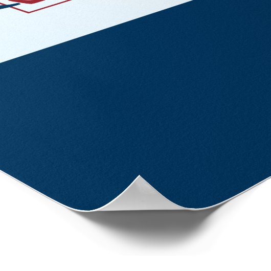 Ron Paul Poster (Ecke)