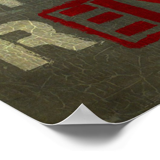 Ron Paul Revolution Print Poster (Ecke)