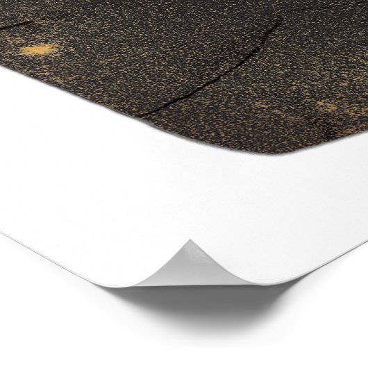 Ron Weasley 1 Poster (Ecke)