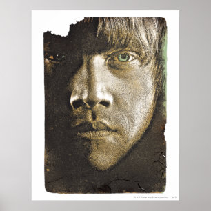 Ron Weasley 1 Poster