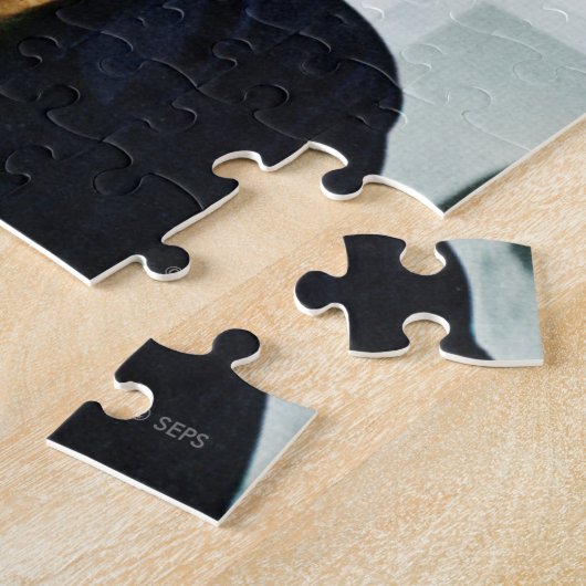 Ronald Reagan Puzzle (Seite)