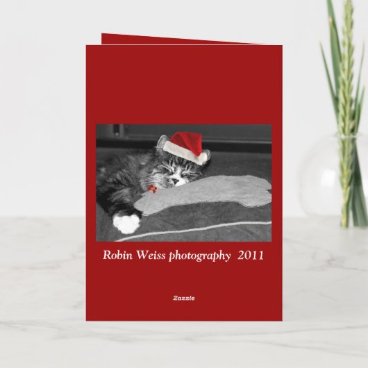 ronni Welpen Feiertagskarte (Rückseite)