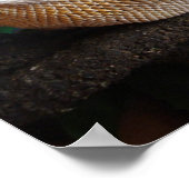 Ronnie 2 poster (Ecke)