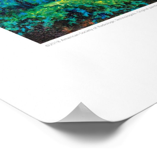 Röntgen-Abdeckung Art - SeaTurtle CT Pelvis von L. Poster (Ecke)