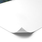 Röntgen-Deckkunst - Renal Lilypads von L. Rainey Poster (Ecke)