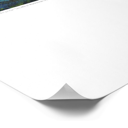 Röntgen-Deckkunst - Renal Lilypads von L. Rainey Poster (Ecke)