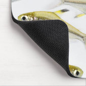 Röntgen-Tetrusfischschule (Pristella Mousepad (Ecke)