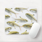 Röntgen-Tetrusfischschule (Pristella Mousepad (Mit Mouse)